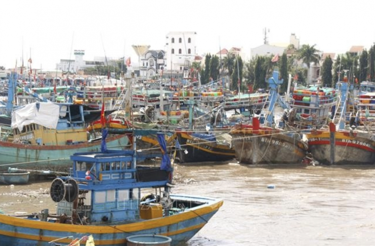 Mekong Delta provinces step up crackdown on IUU fishing
